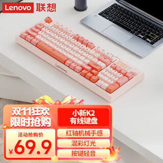 联想（Lenovo）K2有线轻音键盘 机械手感 消音结构95键 混彩灯效 人体工学 音量旋钮 有线办公键盘 拼色 石英粉