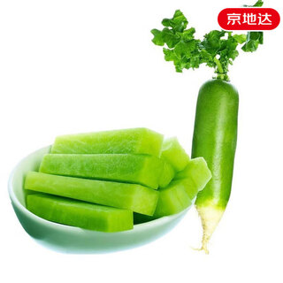 Jingdida shandong weifang radish net weight 4.5jin jin is equal to 0.5kg. single fruit starts from 250g. green radish weixian radish is sent directly from the source.