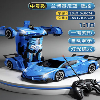 Children's day birthday gift for boys 6-12 years old and 10 boys toy remote control car