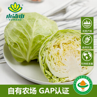 Xiaotangshan cabbage 500g fresh vegetables directly supplied from the base gap certified