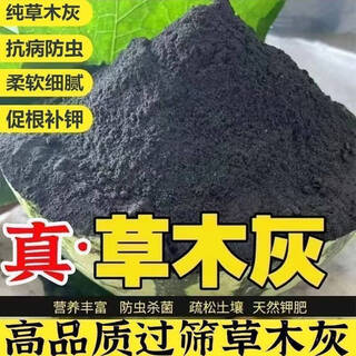 Authentic plant ash fertilizer, farmhouse organic flower fertilizer, special potash fertilizer for fruits, vegetables and flowers, charcoal fired plant ash to prevent insects 9.5-10jin jin equals 0.5kg plant ash