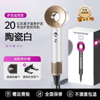 Leifen upgraded version national 3c certification丨5 billion negative ion hair care official flagship high-speed hair dryer household negative ion hair care silent quick-drying high wind leafless hollow ceramic white-single nozzle 2 billion moisturizing negative ions