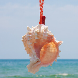 Laiyajuan conch whistle natural trumpet children's trumpet toy small conch horn creative gift large conch horn red bone conch horn 9-11cm 1 piece