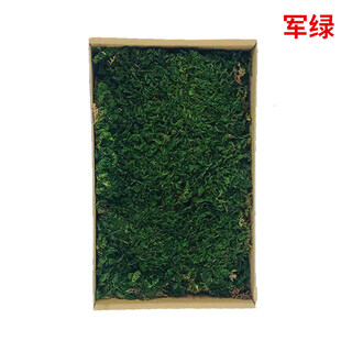 Plant boxed flower material package diy dry dried flowers real flower plant wall simulation fluffy background wall large gray moss-military green