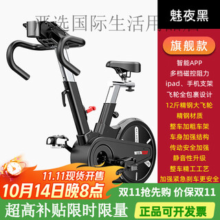 Yingerjian spinning bicycle home magnetic control exercise bike ultra-quiet indoor fitness equipment smart bicycle flagship model-charming night black-12jin jin equals 0.5kg flywheel-magnetic resistance