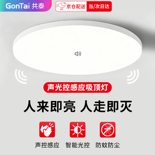 Gongtai voice-activated induction 24w white light led tri-proof ceiling lamp ultra-thin energy-saving high-bright stair aisle corridor corridor light smart lamp