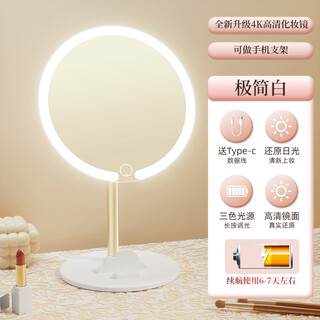 2025 new led mirror cosmetic mirror desktop desktop with light student home fill-light mirror with makeup storage tube 2024 new upgrade minimalist white