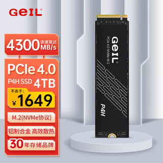 GEIL金邦 4TB SSD固态硬盘 (PCIe 4.0 x4)NVMe M.2接口 游戏高性能版 P4H系列 台式笔记本加装游戏拓展