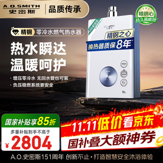 Smith (a.o.smith) garnet 16-liter stainless steel zero cold water gas water heater national subsidy stainless steel heat exchanger package 8 years negative pressure safer jsq31-tj1