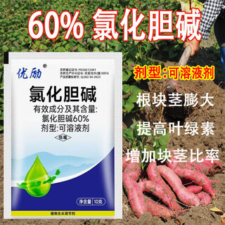 Choline chloride peanuts potatoes sweet potatoes potatoes lettuce underground tubers rhizome crops agricultural plant expansion agent 60% choline chloride 10g*10 bags