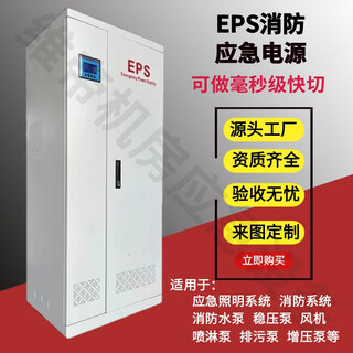 员力单相EPS应急电源消防设备灯具1/2/3/4/5/6/7千瓦照明型动力型混合 1KW  90分钟套餐