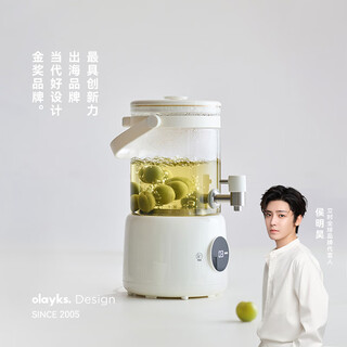 Olayks instant pure titanium health pot health barrel flower teapot household fully automatic faucet tea boiler stew all-in-one teapot kettle electric kettle large capacity 2.8l