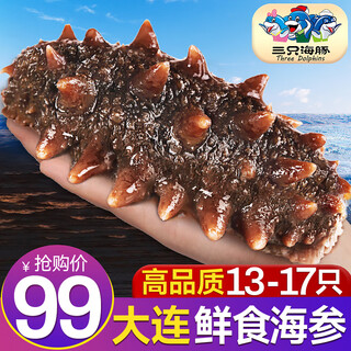 三只海豚 即食海参 大连鲜食刺参单个装 大连特产辽刺参13-17只500g