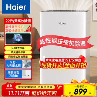 海尔（Haier）除湿机抽湿机 吸湿器22升/天 家用轻音烘干防潮干燥机地下室干衣机 CF22-JY1