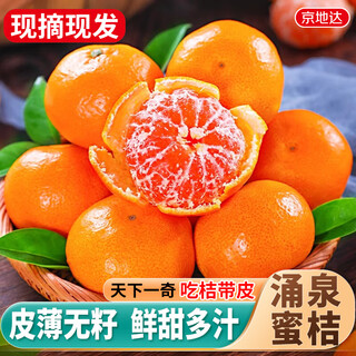 京地达浙江涌泉蜜桔新鲜水果橘子桔子净重9斤单果65mm源头直发包邮