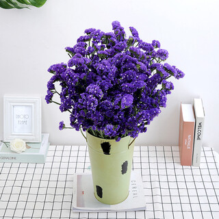 Aiman yunnan forget-me-not dried flowers real flower bouquet air-dried natural living room decoration decoration large bouquet of flowers and stars sn6981 forget-me-not purple extra large bouquet 2jin jin equals 0.5 kg