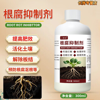 Root rot inhibitor, dead trees, stiff seedlings, disease resistance, rapid root strengthening, damping off and rotten roots, purifying soil, water-soluble fertilizer, 300ml root rot inhibitor supplement solution