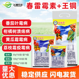 Garinong kasugamycin copper king feuille de cuivre mildiou downy riz aspergillus maladie bactérienne pesticide fongicide 100g