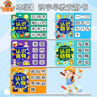 可爱家幼儿识字早教安静书宝宝启蒙粘贴书儿童魔术贴卡片玩具认字卡六一 识字早教安静书【5本装】大自然