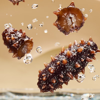 Shenxiaomei dalian fresh ready-to-eat sea cucumber 350g*3 bags total 1050g 21-30 heads sent directly to elders from source