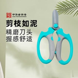 张小泉园林花艺花剪盆景园艺果园修花剪枝剪修剪树枝春悦树剪强力 春悦花艺剪