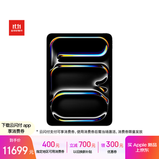 Apple/苹果 iPad Pro11英寸 M5芯片 2025年新款平板电脑 512G eSIM版 深空黑色