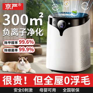 Jingyan air purifier removes formaldehyde and odor, household negative ion ozone purifier absorbs cat hair allergens, removes smoke odor and dust, new house urgent move-in indoor air disinfection machine, supreme edition 300 whole house purification | upgraded ozone sterilization | available for pregnant and infants, including consumables | formaldehyde removal rate 99%, real-time detection | active capture | medical grade