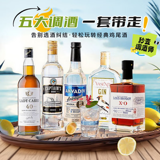 路易布兰登（LOUIS BRANDON）威士忌白兰地朗姆金酒伏特加洋酒5瓶调酒基酒鸡尾酒组合原酒进口