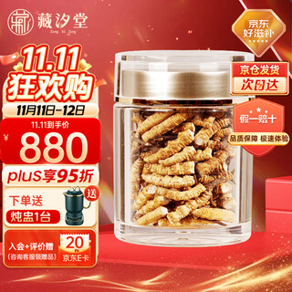 Zangxitang cordyceps large cordyceps cordyceps 10g cordyceps selected dried cordyceps tonic