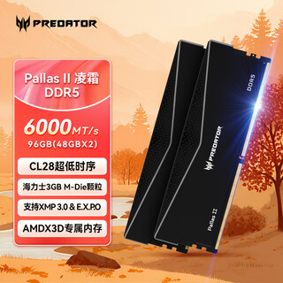 宏碁掠夺者（PREDATOR）96G(48G×2)套装 DDR5 6000频率 台式机内存条 Pallas II 凌霜系列（C28）石耀黑 AI电脑配件