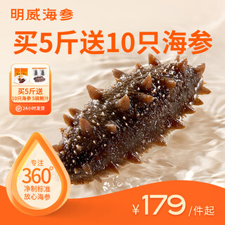 明威海参 鲜食即食海参刺参 鲜活加工独立包装单个装开袋即食冷冻海鲜礼盒 10-12头（1斤 ）