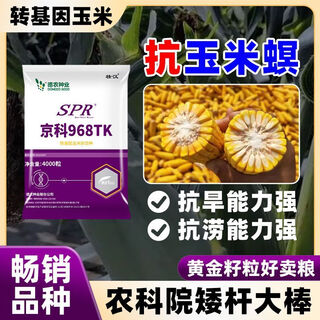 Генетически модифицированные высокоурожайные семена кукурузы strong man устойчивы к полеганию и засухе, крупные палочки устойчивы к насекомым, короткие стебли обладают хорошими покрывающими свойствами, а семена прицветников высокой чистоты генетически модифицированы, чтобы быть устойчивыми к насекомым и высокоурожайными. 3950 семян. Хорошие укупорочные свойства.