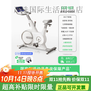 Lijiujia spinning bicycle fitness home model smart magnetically controlled bicycle indoor equipment silent wind chasing x self-generated - 8kg flywheel set - intelligent resistance adjustment - bold