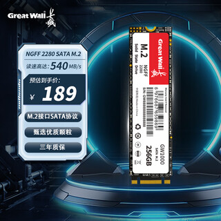 长城（Great Wall) 256GB SSD固态硬盘 M.2接口SATA协议 读速540MB/S GW1000系列