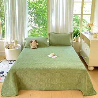 One side velvet and one side cloth bed cover milk velvet baby velvet double-sided winter plus velvet bed sheet 2024 new model for all seasons new green 200cm*220cm bed cover + two pillowcases