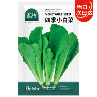 Beishu chinese cabbage seed seedlings, winter and spring cold-resistant balcony fast-growing green vegetable seeds, four-season chinese cabbage seeds 2000 capsules