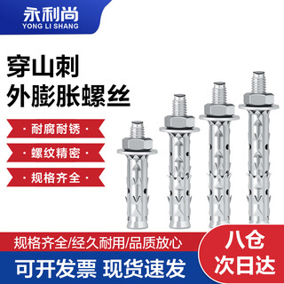 Wynn shang chuanshan thorn expansion screw fish scale external pull expansion tube foam brick hollow brick lightweight brick special expansion bolt external expansion 6*150 (5 pieces)
