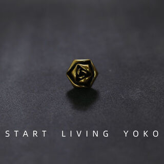 Ye yu retro metal rose flower decorated button shirt button shirt sweater cardigan small button pearl cufflinks six-sided rose bronze 1 piece