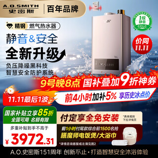 A.o.smith 16-liter stainless steel gas water heater, national subsidy, level 1 silent certification, safety protection jsq31-edq6 new product