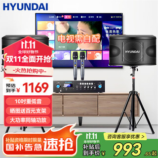 HYUNDAI现代家庭影院ktv音响套装家用k歌电脑电视客厅卡拉ok全套会议室卡包店铺专业功放音箱设备 【经典版】10吋音响套装