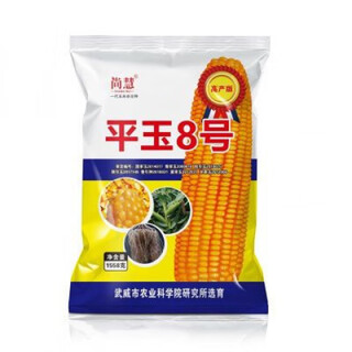 Complete collection of corn seeds, new varieties of short-stem academy of agricultural sciences, resistant to lodging, rust resistance, and drought resistance, high-quality original corn. complete collection of corn seeds, new varieties of short-stem academy of agricultural sciences, resistant to lodging, rust, and drought resistance, high-quality original corn seeds.