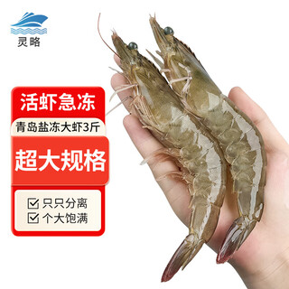 Linglue qingdao salted frozen prawns net weight 3jin jin is equal to 0.5kg 30-45 pieces salted frozen white prawns prawns base shrimp fresh shrimp