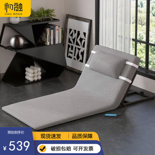 Churong elderly electric stand-up lift nursing assistant home intelligent nursing mattress