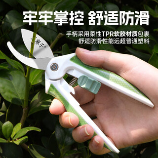 Wang mazi floristry scissors, special garden scissors for flower cutting, fruit picking and flower scissors, pruning scissors, stainless steel gardening scissors, tree branch scissors