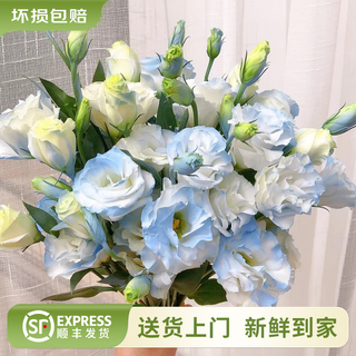 Yunnan flowers wholesale quality rose lily water-raised fresh cut flowers for your girlfriend water-raised flowers straight from the source crushed ice blue lisianthus 200g (spray color) choose 2 pieces free of charge