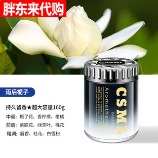 Fat donglai car aromatherapy solid balm men's car fragrance 2025 new fragrance gardenia after the rain long-lasting fragrance extra large capacity 160g