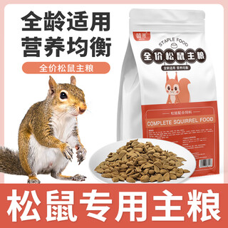Special staple food for squirrels, full-price food for all ages, vitamins, nutritional food, supplies, feed, pet food, snacks, full-price squirrel food 500g/1 bag