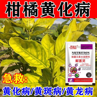 Специальное лекарство для лечения цитрусового пупка и апельсинового хуанлунбина, болезни желтого скручивания листьев, 5 пакетов питательного раствора, купите три и получите два бесплатно, рекомендовано небольшими садами.