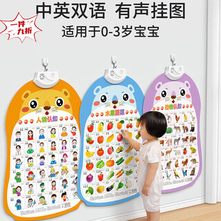 宝宝有声早教挂图婴幼儿童认知学说话发声益智玩具识字点读书墙贴 汉字