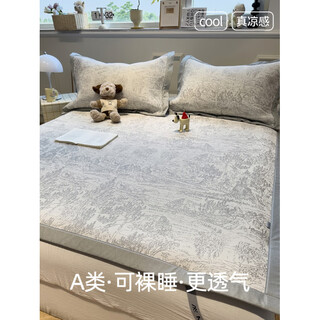 Fantasy light luxury summer ice silk mat summer 2025 new machine washable air conditioned soft mat bed sheet style - monet - night gray category a baby available 0.8m bed